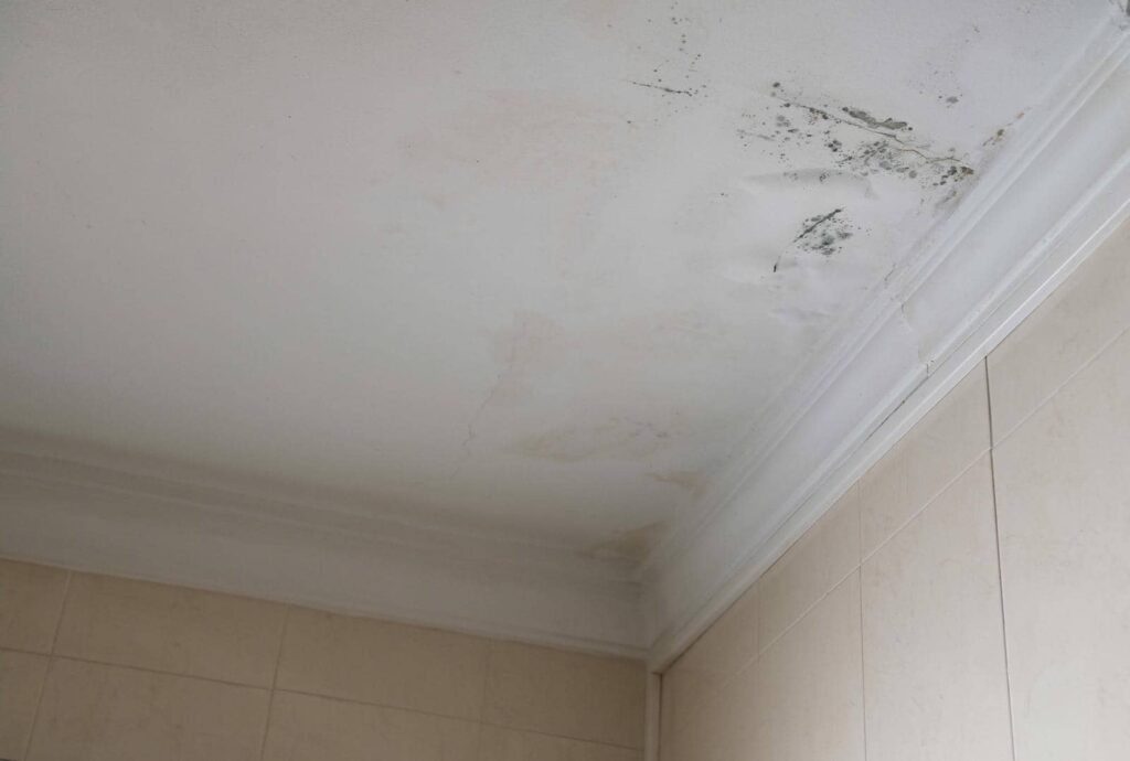 Mold Cleanup Tips Post-Water Damage Restoration