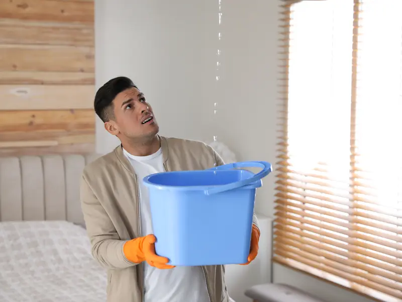 Need expert restoration? Lanstar USA restoration services provide fast, reliable water, fire & mold damage repair. Get your property restored today!