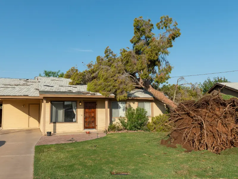 storm damage restoration